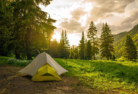 Camping security systems